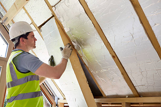 Best Residential Insulation in Rochester, PA